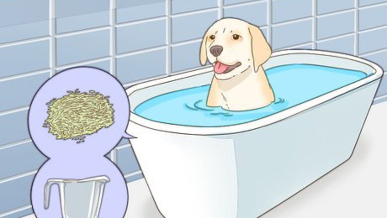 How to Treat Seasonal Allergies in Dogs (Home Remedies)