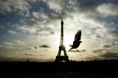 Stairs From Eiffel Tower Sell for Over Half a Million Euros