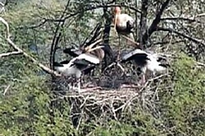 Water politics peaks at Bharatpur