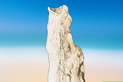 When Lightning Strikes Sand: The Awesome Formation of Petrified Lightning and How to Find It