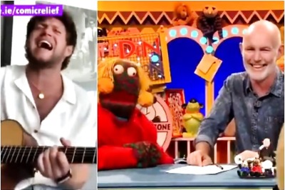 Niall Horan Interrupted While Performing on 'The Den', Fans Rally Behind Him