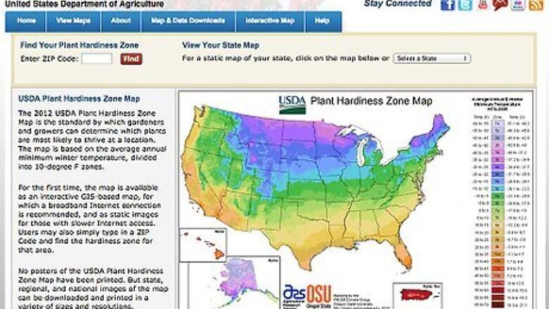 How to Buy Fruit Trees
