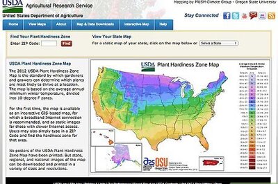 How to Buy Fruit Trees