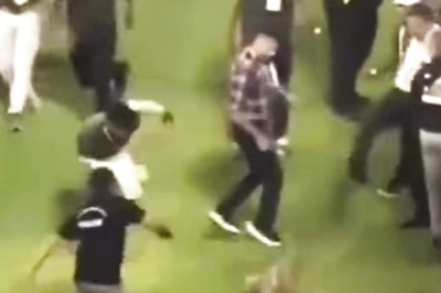 Dog Interrupts News Broadcast In The Most Unexpected Way; Laughs Guaranteed