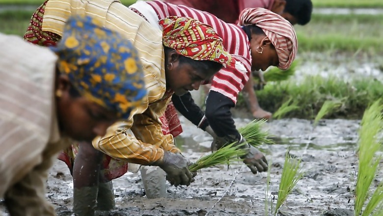 Bank Manager Who Sought ‘Sexual Favours’ from Woman for Crop Loan Arrested