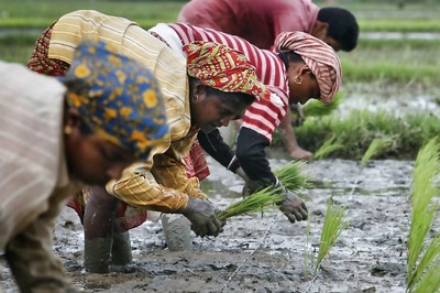 Bank Manager Who Sought ‘Sexual Favours’ from Woman for Crop Loan Arrested