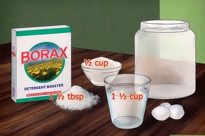 How to Kill Ants Using Borax