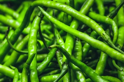 Tomato Troubles To Chilli Chaos: Rs 400/kg Chilli To Make Your 'Thali' Expensive, Check Details Here