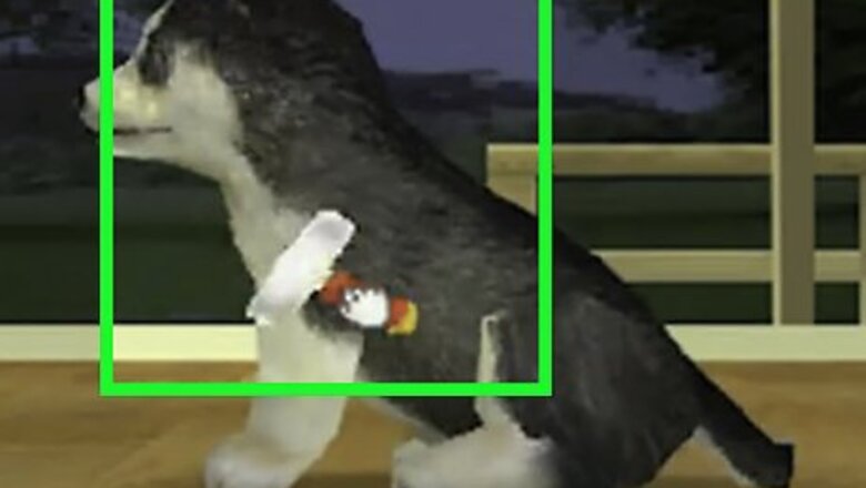 How to Walk Your Nintendogs