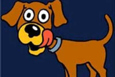 Canine marriage goes to the dogs