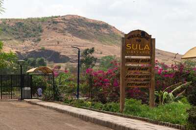 Sula Vineyards Up 15% As CLSA Raises Price Target, Predicts Up To 55% Upside In 12 Months