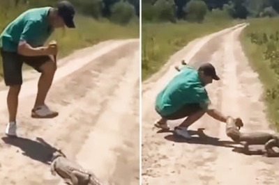Man Tries To Stab Alligator, And Then The Reptile Reacted