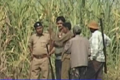 Shoot at sight ordered against leopards in Surat