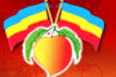 TN: PMK leader dies in midnight accident