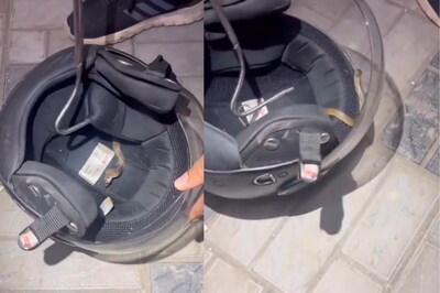 Snake Found Hiding Inside A Bike Helmet In This Chilling Video