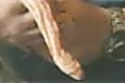 Man to break snake-kissing record