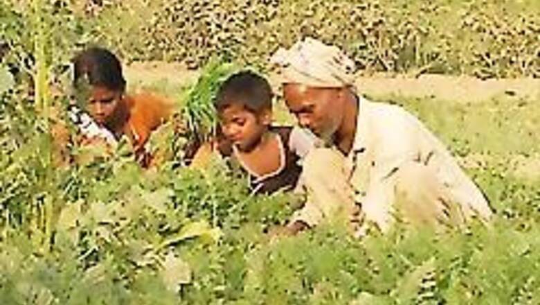 Farmers to vote on Mumbai special economic zone