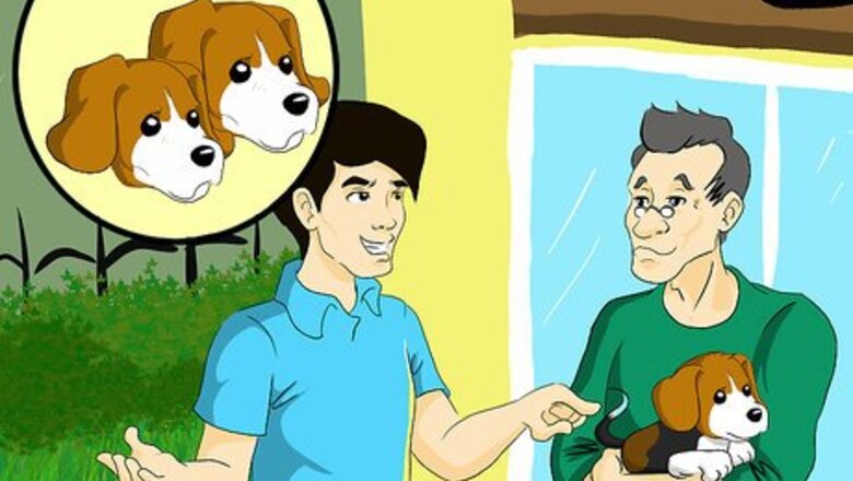 How to Pick the Perfect Puppy