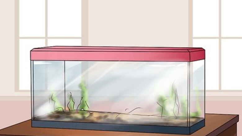 How to Make a Turtle Environment