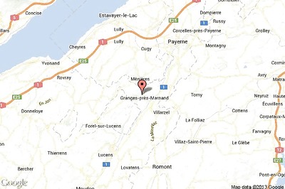 Swiss train crash kills driver, injures 35 passengers