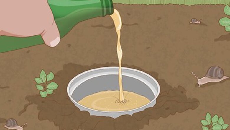 How to Get Rid of Snails