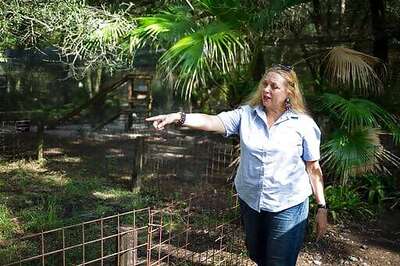 House Votes To Decriminalize Marijuana At Federal Level