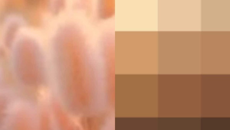 Is Pantone’s Color of the Year 2024 Peachy Fuzz Right Fit for Indian Skin Tone? Expert Weighs In