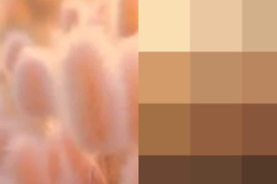 Is Pantone’s Color of the Year 2024 Peachy Fuzz Right Fit for Indian Skin Tone? Expert Weighs In