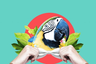 Digital Art Is Transforming the Art Industry And How Is Social Media Aiding The Art Landscape