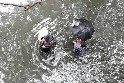 Rains will batter Tamil Nadu for a week more, 2 days 'crucial': IMD