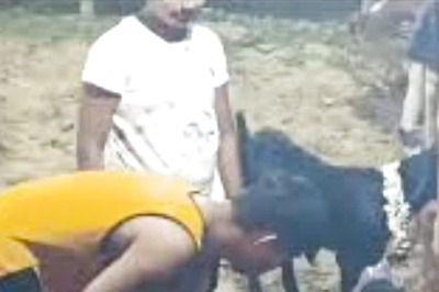 Kabaddi Tournament Winners In Bengal Get Mutton And Chicken As Prizes