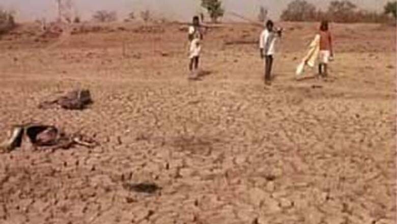 Hunger stalks villagers in drought-hit Maharashtra