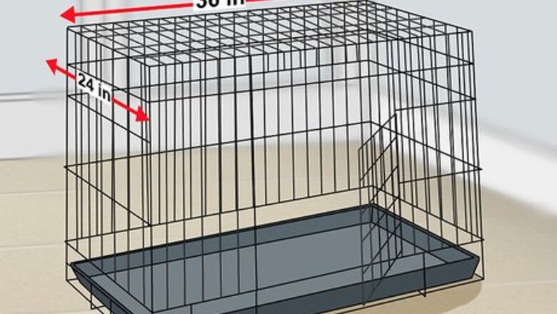 How to Crate Train Dachshunds