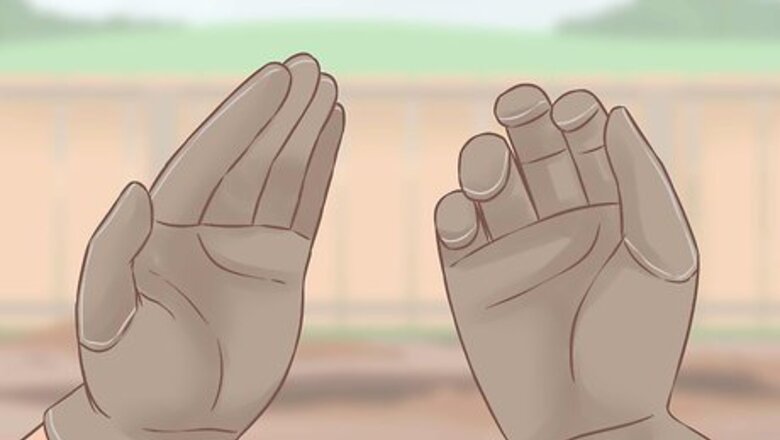 How to Extract Cactus Juice