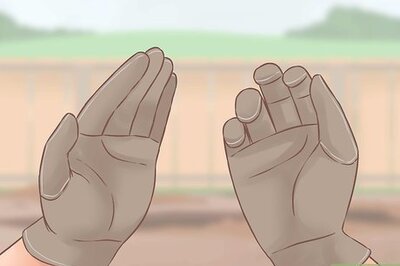 How to Extract Cactus Juice