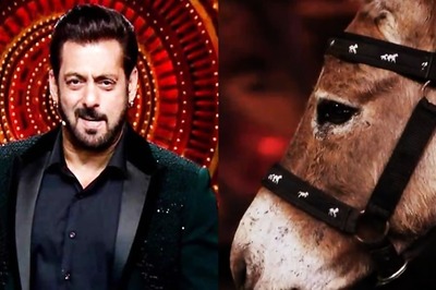 Bigg Boss 18: A Donkey To Live With Contestants On The Salman Khan Show? Here's What We Know