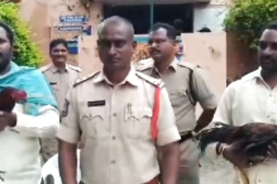 In Telangana's Peddapalli, Police Put Up Two Roosters For Auction