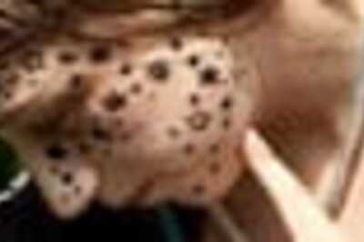 Tattoo gone wrong: Stars and gripes forever?