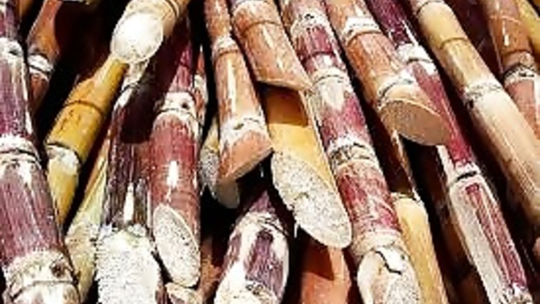 Farmers stage protest over non-payment of cane price arrears