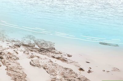 Catching Bloodworms - How to Dig Up  the Best Fish Bait