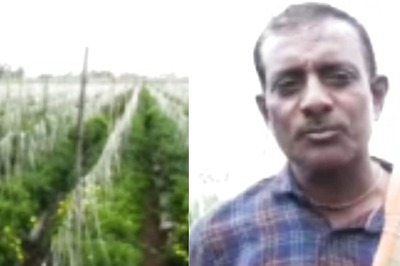 Karnataka Farmer Turns Flood And Drought Woes Into Fortune With Green Chillies