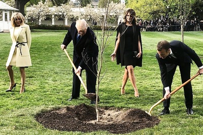 Donald Trump and Emmanuel Macron Planted a Tree. But Where Did it Go?