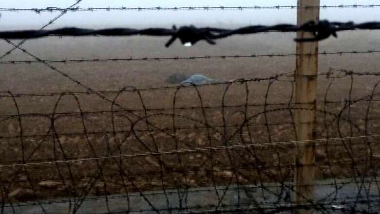 Pak Intruder Arrested Along International Border in J&K's Samba