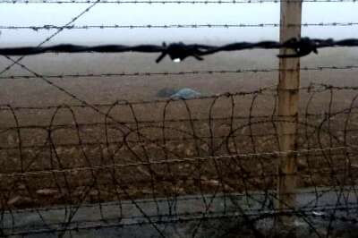 Pak Intruder Arrested Along International Border in J&K's Samba