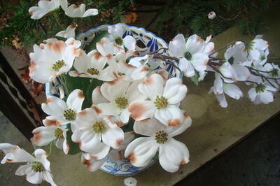 How to Celebrate Easter Painting Dogwood in Watercolor