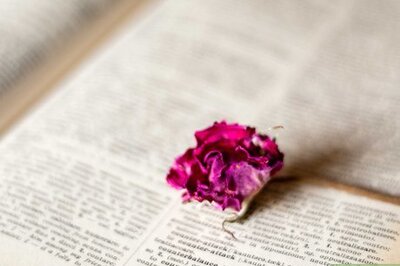 How to Create a Learning Environment