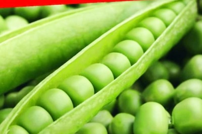 Peas Are Underrated! 5 Health Benefits Of These Green Pods