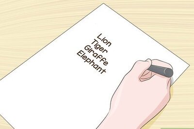 How to Make an Animal Fact Book