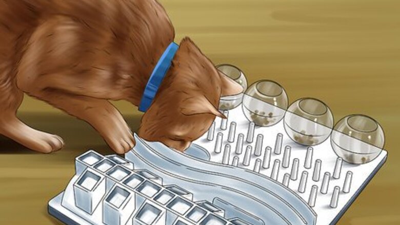 How to Feed a Cat Using Food Puzzles
