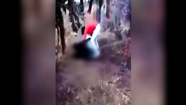 Rajasthan Hate Crime: Hindu Outfits Attack Police in Udaipur, Prohibitory Orders in Place